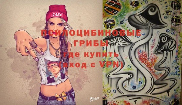 mdpv Верхний Тагил