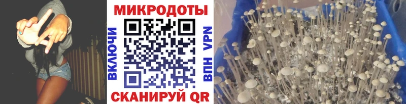 Псилоцибиновые грибы мухоморы Волхов